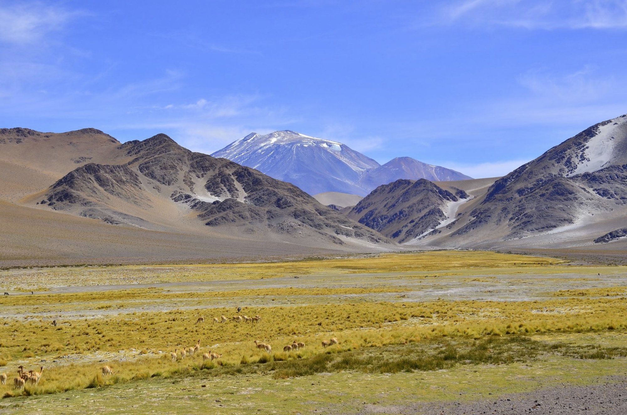Catamarca Ya: información y actualidad de la provincia