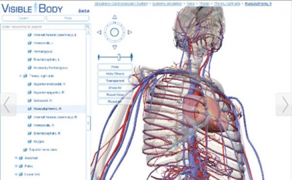 El concepto de un Google Earth del cuerpo humano